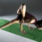 正位瑜伽垫如“田”字格，助练习者养成良好的学习习惯！